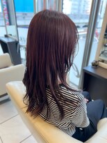 エムタニグチブランシェ(M.TANIGUCHI Branche') ヘルシーロングレイヤー