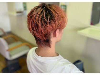 キハラ KIHARA 和泉中央店の写真