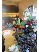 美容室 ビアンララ(Bianglalah)&nbsp;Bianglalah 