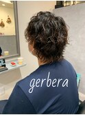 gerbera style