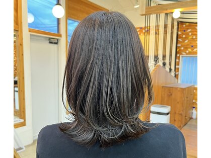 ランチ(Ranch)の写真