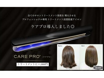 レイドバック(LAID-BACK)の写真