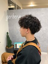 ガーベラ(gerbera) gerbera style