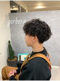 gerbera style