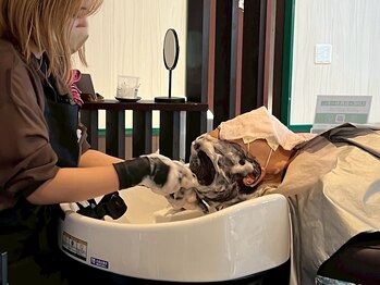 ホットスポット 宇部店(HOT SPOT)の写真/ヘッドスパ(30分)￥3,630/Marbbスパ(35分)￥4,290/酵素スパ・Marbb付き(35分)￥4,840/3種類から選べるスパ!