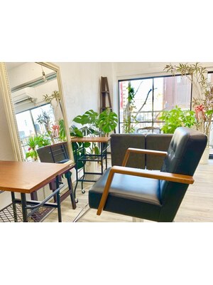 【府内町にある隠れ家サロン】白を基調とした店内には植物が多く落ち着く癒しの空間♪