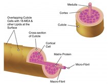 【システムトリートメント】