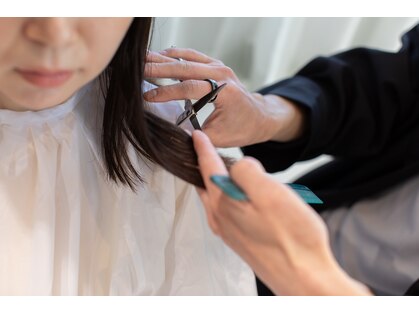 シキオリ(SHIKIORI)の写真