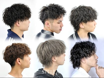 ステラ(STELLA)の写真