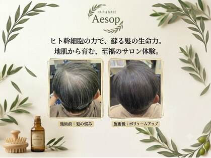ヘアーメイク イソップ(Hair Make Aesop)の写真