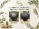 ヘアーメイク イソップ(Hair Make Aesop)の写真