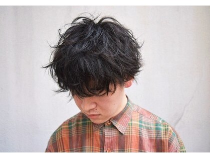 リッジ(ridge)の写真