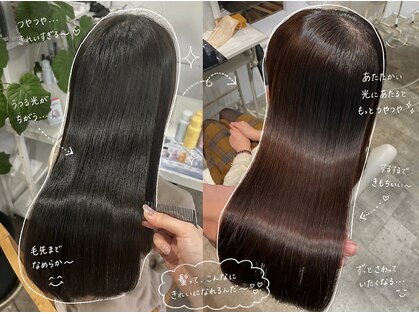 クーペ(coupe)の写真