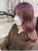 ラベンダーピンク
