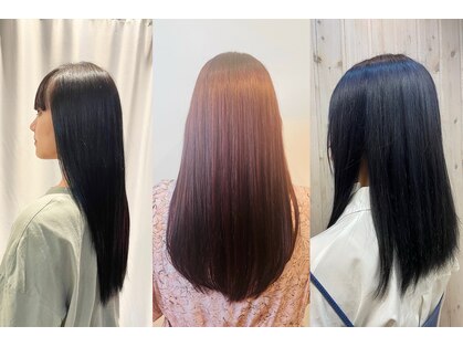 サクラ(SAKURA)の写真