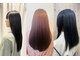 サクラ(SAKURA)の写真