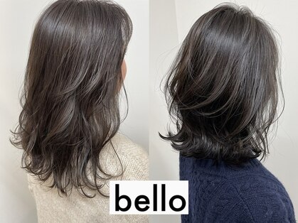 ベロ(bello)の写真