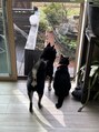 ナンバー ユアイロ 川崎(N° uairo) 犬猫大好きです！