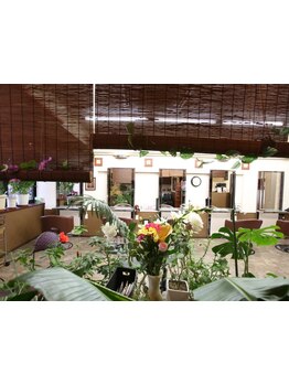 バリ風の店内で、ゆったりとした時間を過ごしませんか？居心地の良いアットホームな空間です。