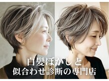 ハーツ(Heart's)