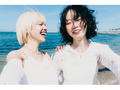 カシカ(casica)の写真