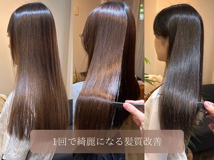 ジプソ(Gypso)の写真