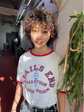 フィン(fin,) fin,/セクションカラー/グラデーションカラー/ペールベージュ