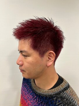 エムタニグチイプセ(M.TANIGUCHI ipse) レッドスパイキーショート