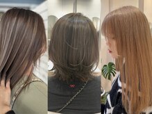 シダ(sida)