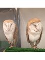 カぺリベラ テラス Capelli bella TERRACE 動物が大好きです♪