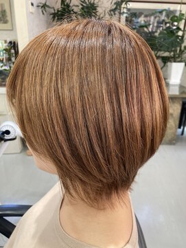 ダウエルイースト お手入れラクチン！レイヤーウルフ