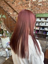 ビハツヤ(BIHATSU-YA)&nbsp;カシスカラー