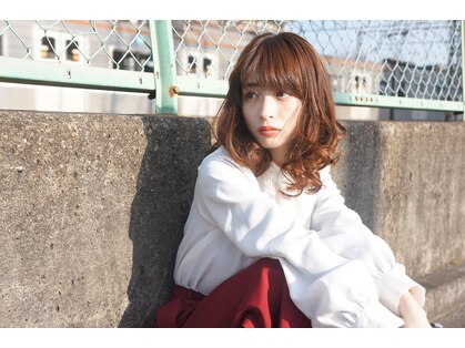ティコ(tycho)の写真