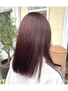 ステラ クルー(STELLA CRUISE) こっくりとしたワインレッドカラー