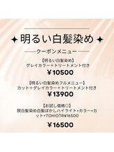 エクラートリュクスの明るい白髪染めで新しい一歩を