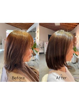 『やっと見つけた極上のヘナ』