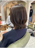 レイヤーボブ 【大木】