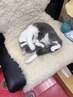 やらずに済むなら嬉しいヘッドスパ