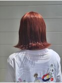 可愛いアプリコット