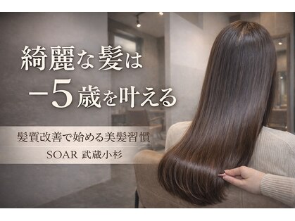 ソア 武蔵小杉(SOAR)の写真
