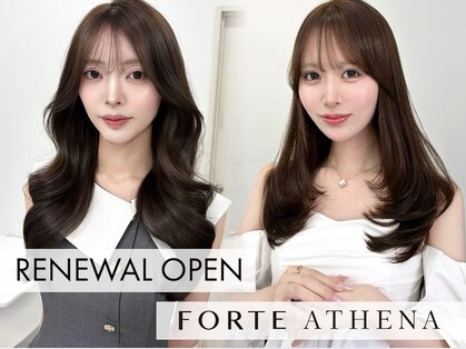 フォルテ アテナ 表参道(FORTE ATHENA)の写真