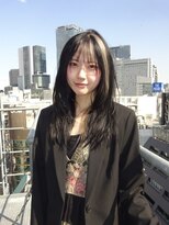ブロック ジャポン(bloc japon)&nbsp;ハイレイヤー×セクションカラー