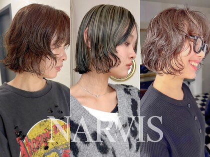 ナービス(NARVIS)の写真