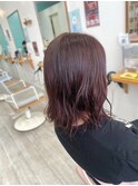 ピンクラベンダー