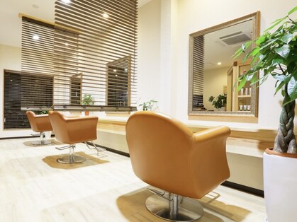 レクシア(Recsia)の写真