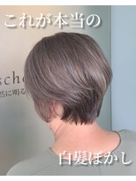 クシェルヘア(kuschel hair)&nbsp;【白髪率８０％超】プリンが目立ちにくいシルバーベージュ