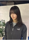 ミディアムレイヤー