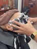 ＊木村限定＊　カットヘッドスパメニュー