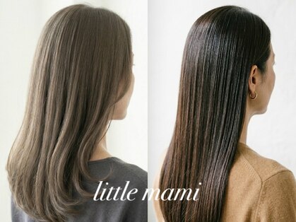 リトル マミの写真