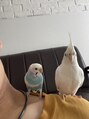 ルージュシー(RU10C) ペットのインコ×2